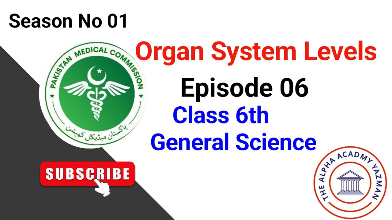 Organ System Level Class 6 Science Sindh Board | Season No 01 | Episode 6 | Live Class
