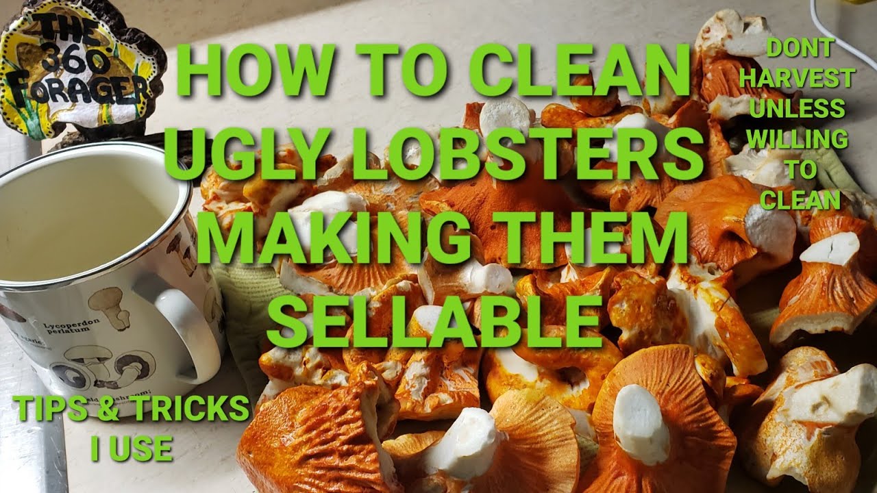 Как я чищу лобстеров #еда