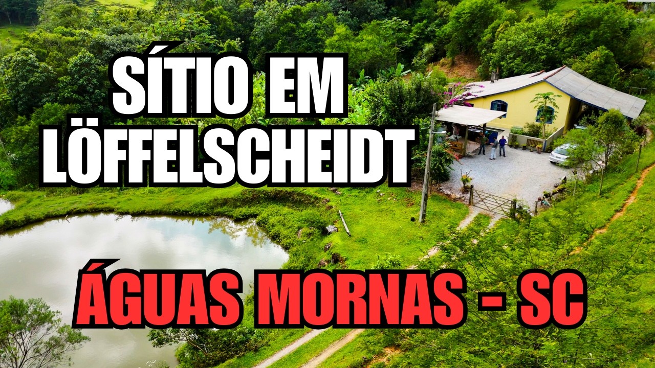 SÍTIO EM ÁGUAS MORNAS - SC | 4 HECTARES | MUITAS NASCENTES | VISTA INCRÍVEL!