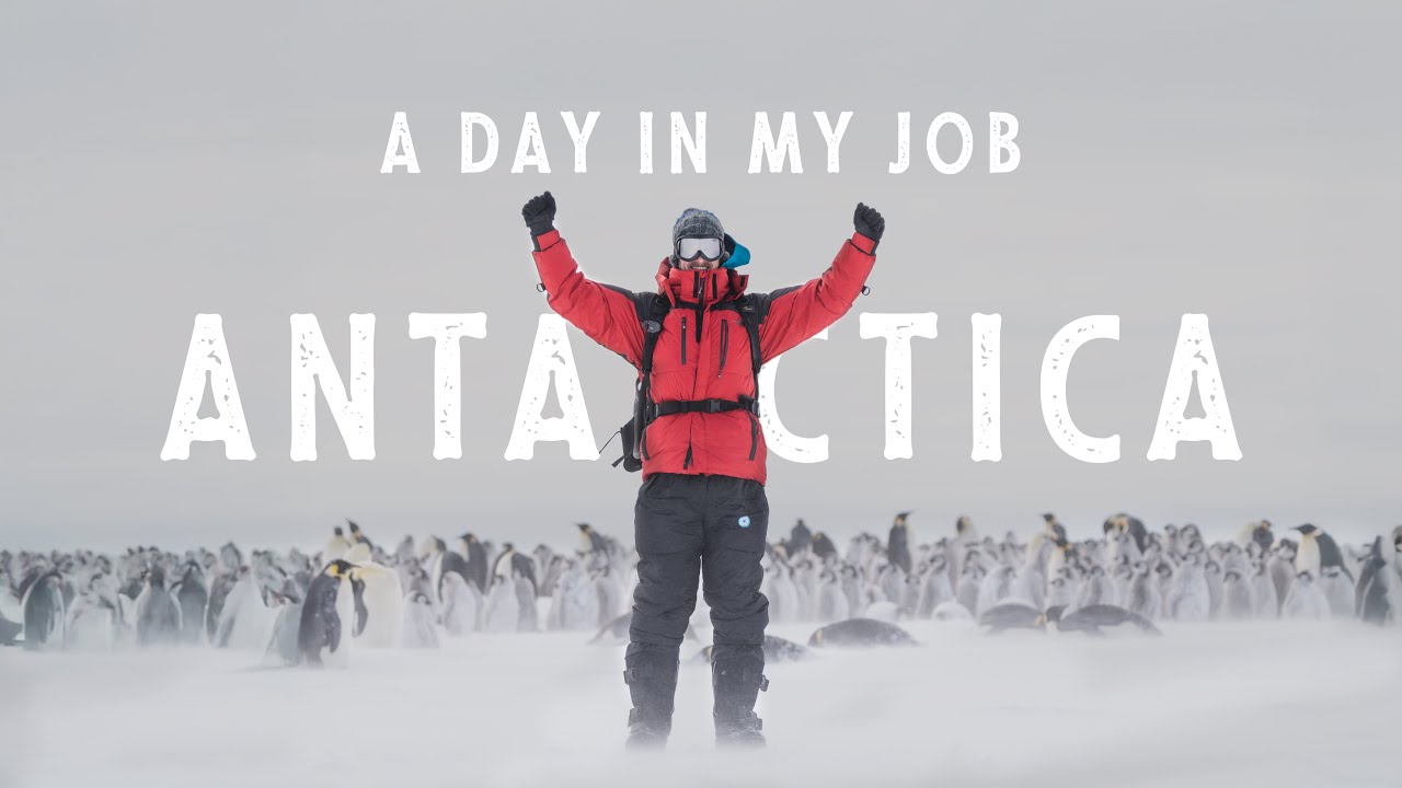 ANTARCTICA - A Day In My JOB !
