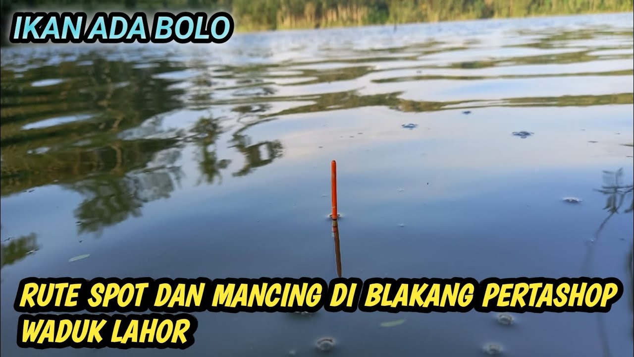 IKAN ADA BOLO || rute spot mancing dan mancing nyobok di waduk lahor mancing ikan nila .
