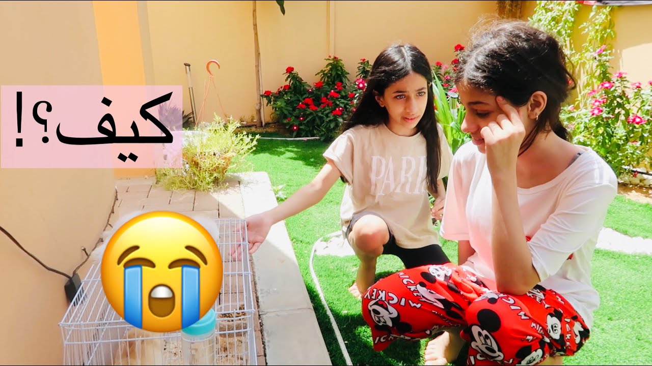 ردة فعلهم على وداع سنوو 😭(بكت) | مؤثر