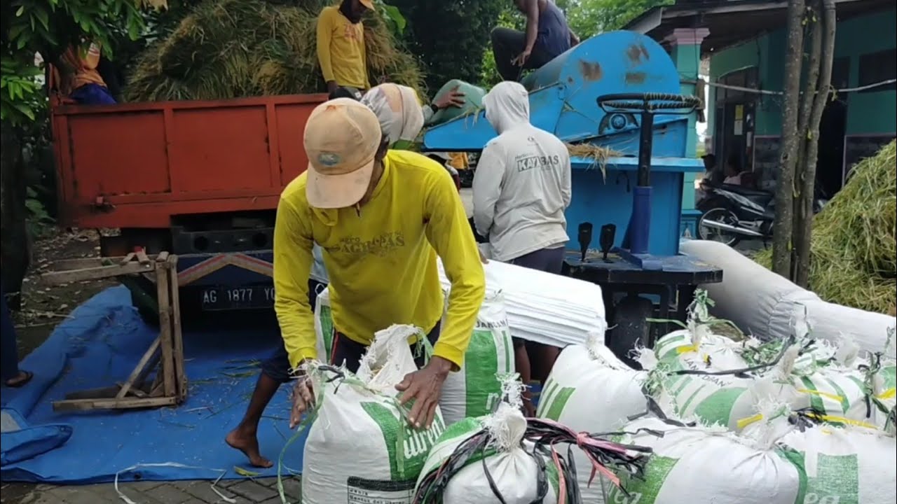 Diesel Selep Padi Keliling Roda Tiga [] Perontok Padi