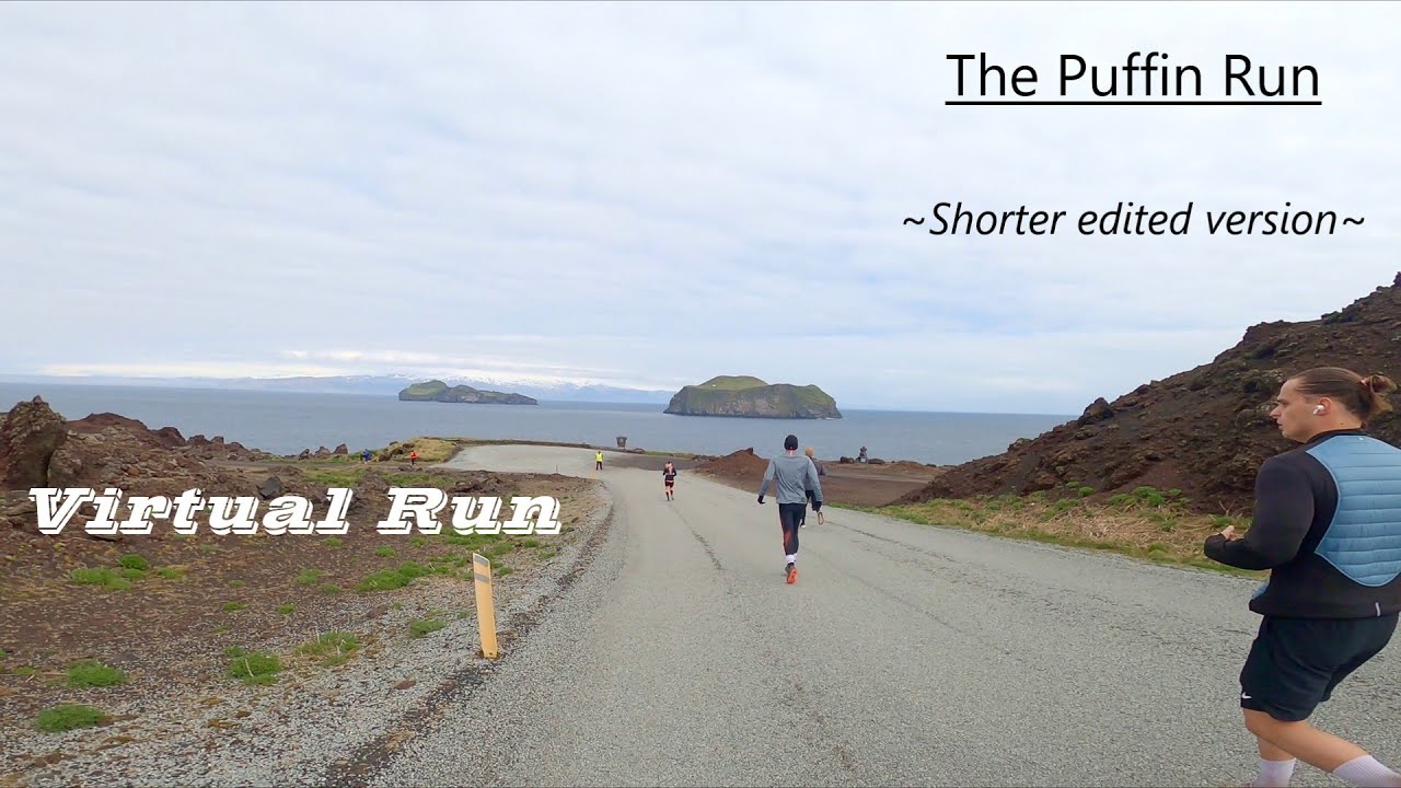 Virtual Treadmill Run | Iceland | 1 Hour Version Of Puffin Run 2022 | Lava~Islands~Ocean~Amazing