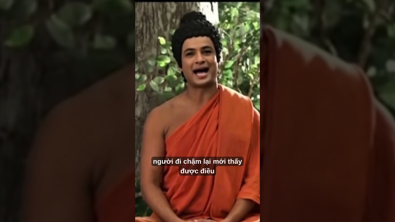 Lời Phật dạy: Đi chậm để thấy rõ đường  