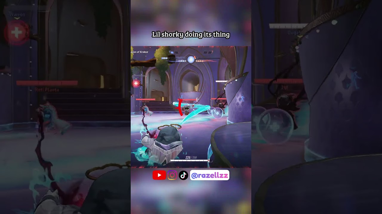 Lil shorky doing its thing 