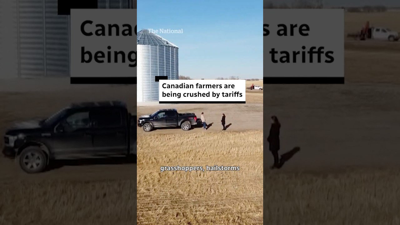 Canadian farmers are being crushed by tariffs