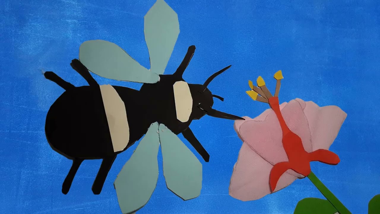 le bourdon un insecte pollinisateur 2025