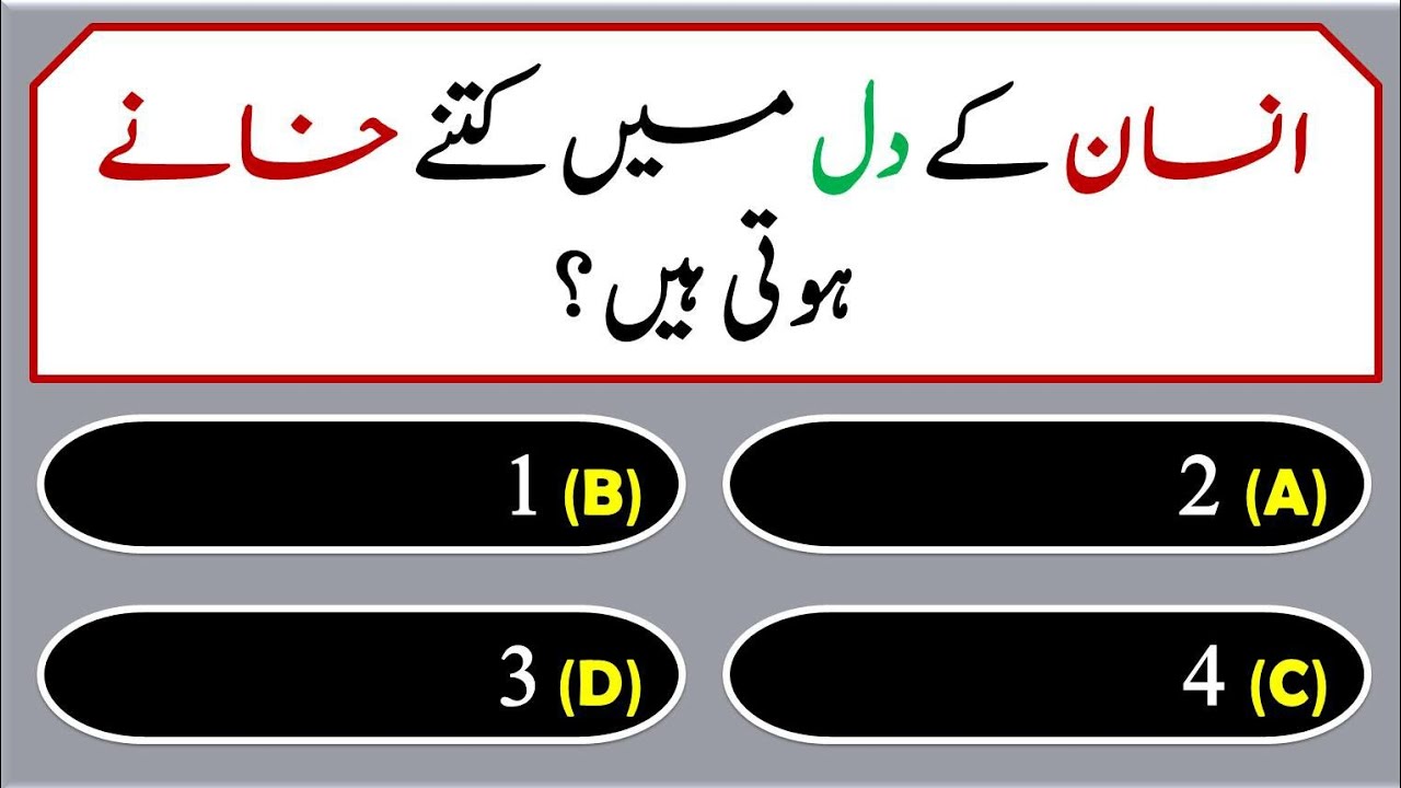 General Knowledge | Interesting Questions & Answers in urdu Part-7🤔📚