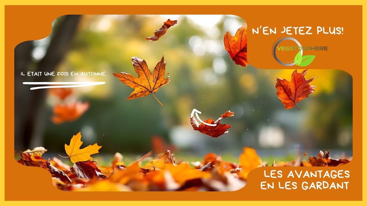 Les feuilles mortes, de l'or pour votre jardin! #vegetosphere #jardin #compost #feuilles