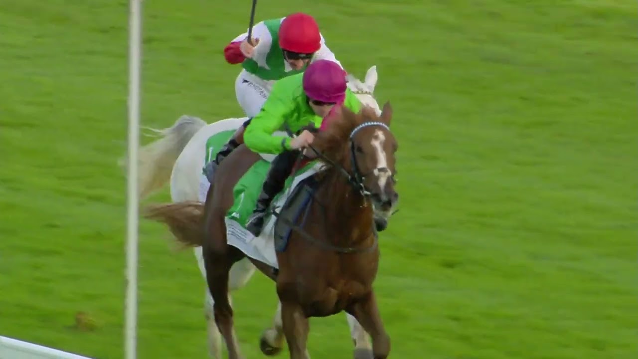 WATHBA STALLIONS CUP HANDICAP STAKES 0-75