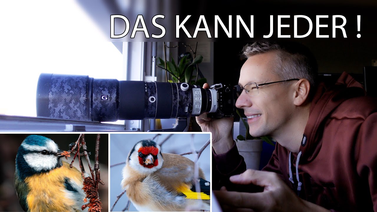 Vögel am Fenster fotografieren 🐦 Einstellungen, Brennweite, Tipps