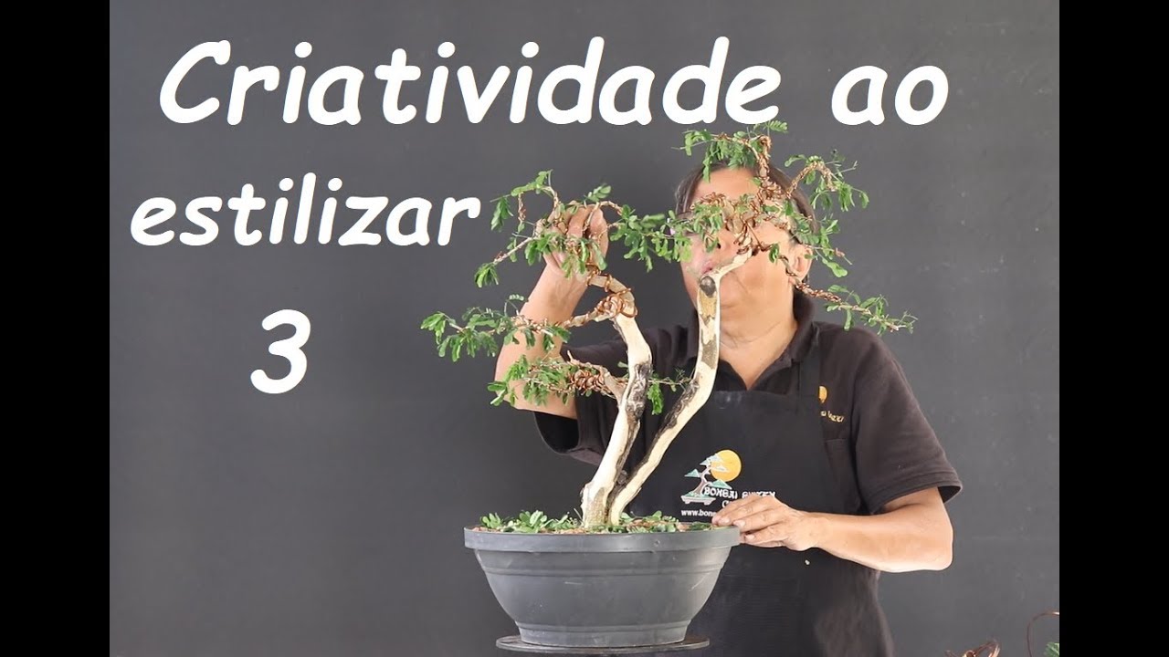 Criatividade ao estilizar 3