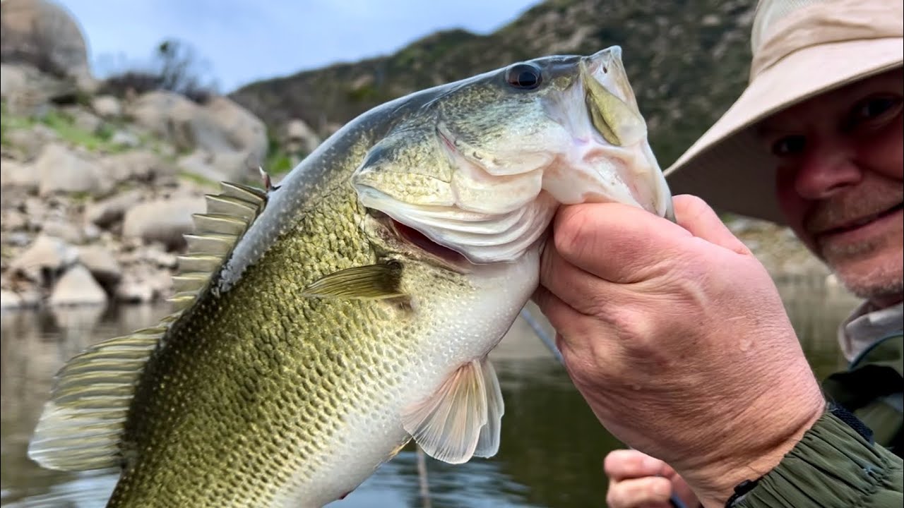 Confidence Baits or New Baits: Which Do I Fish?