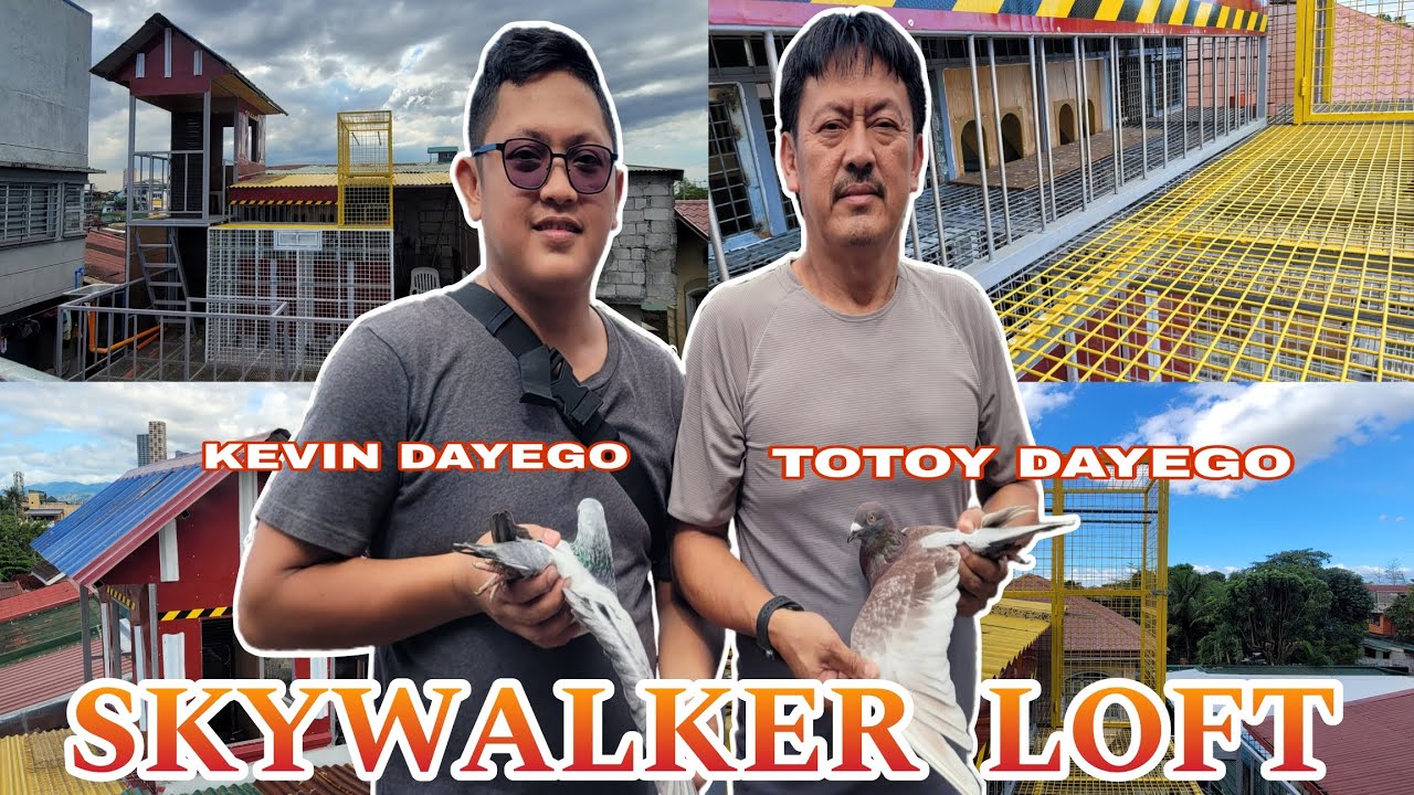 NEWBIE FANCIER NG PROJECT 8 |KEVIN & TOTOY DAYEGO SKYWALKER LOFT | MADE BY MHARK AGUILUZ LOFT MAKER