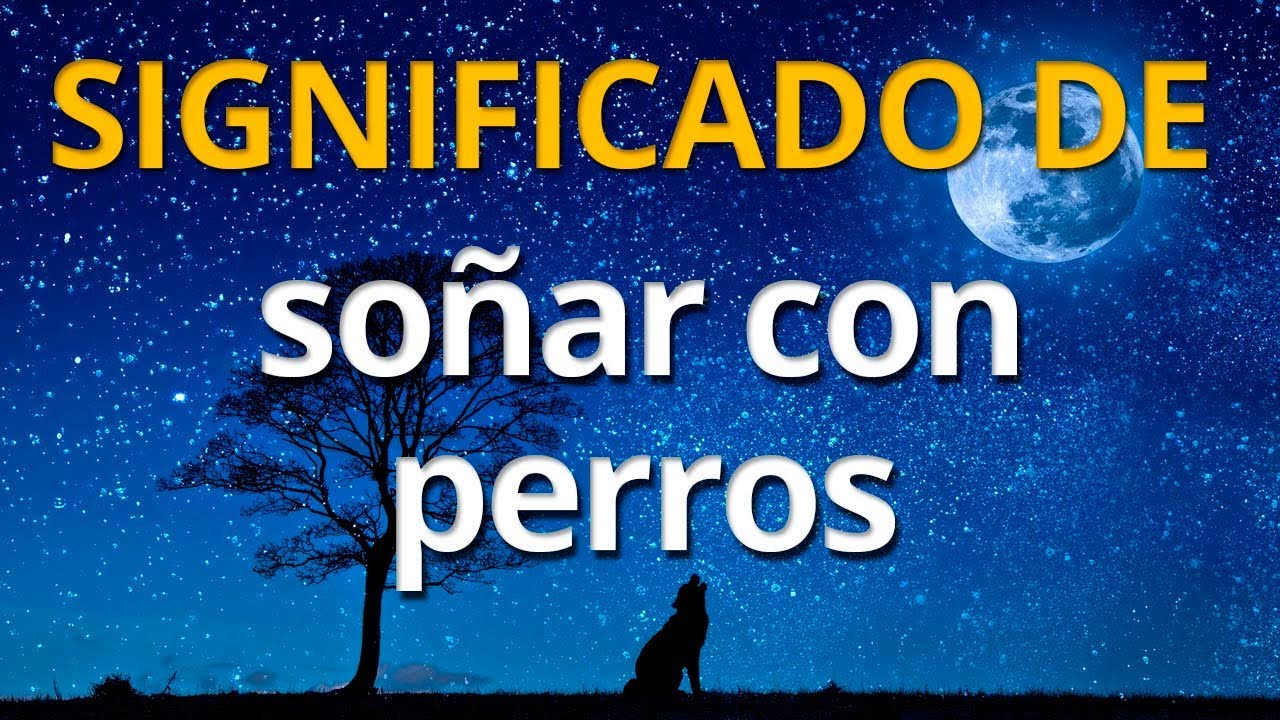 Qué significa soñar con perros 💤 Interpretación de los Sueños