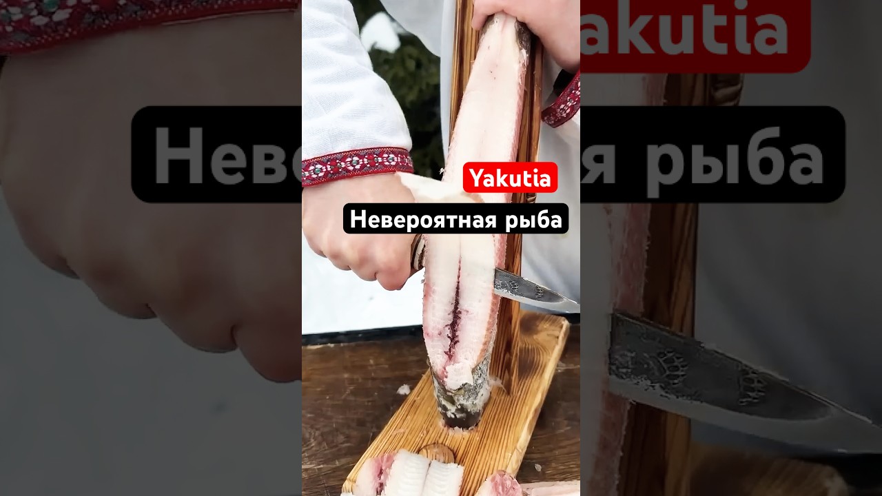 Yakut Ice Delicacy