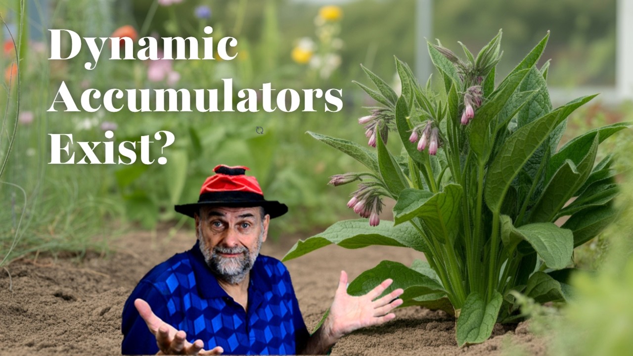 Dynamic Accumulators: Do They Deliver Results?