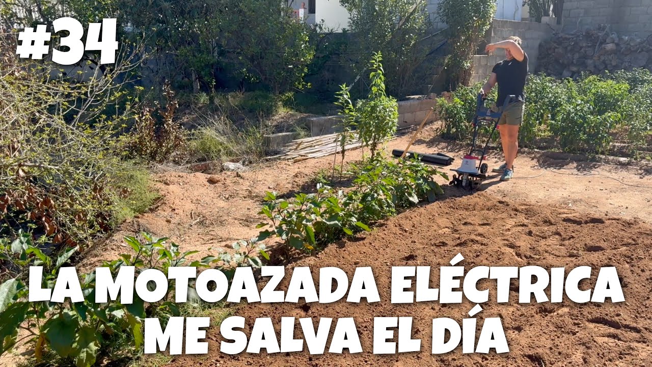 La motoazada eléctrica me salva el día #34 | #huerto #asmr #temporada #alcachofas