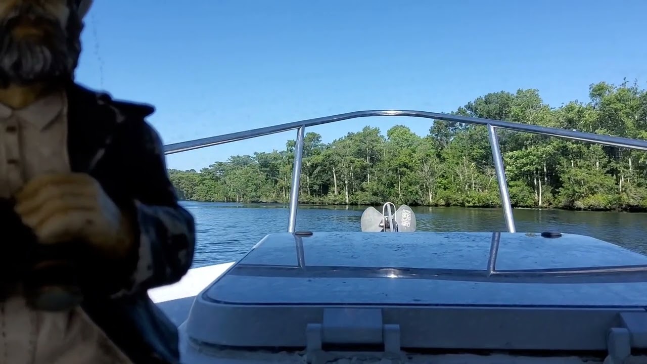 the dismal swamp on the greatloop