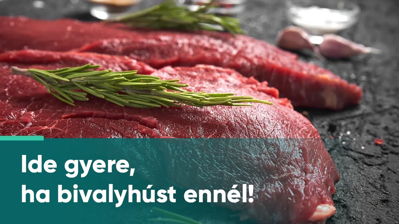 A balatoni bivaly nyomában