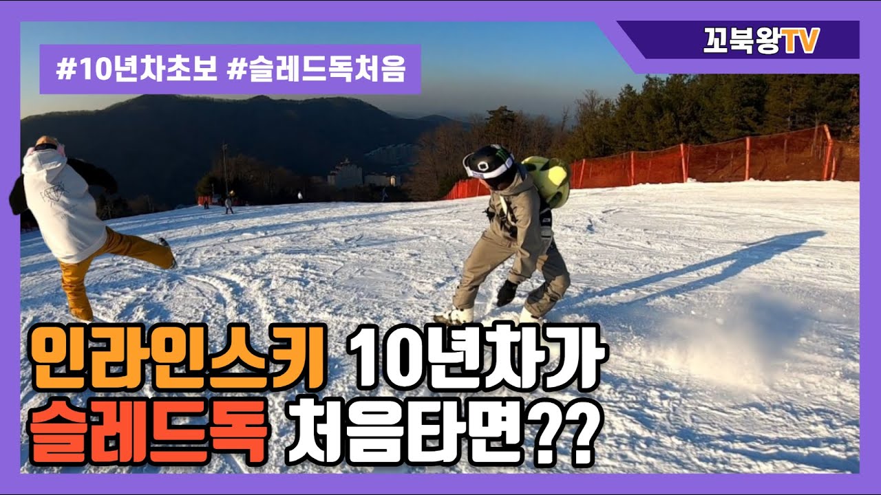 인라인스키 10년차가 슬레드독 처음타면 생기는 일 (자막)