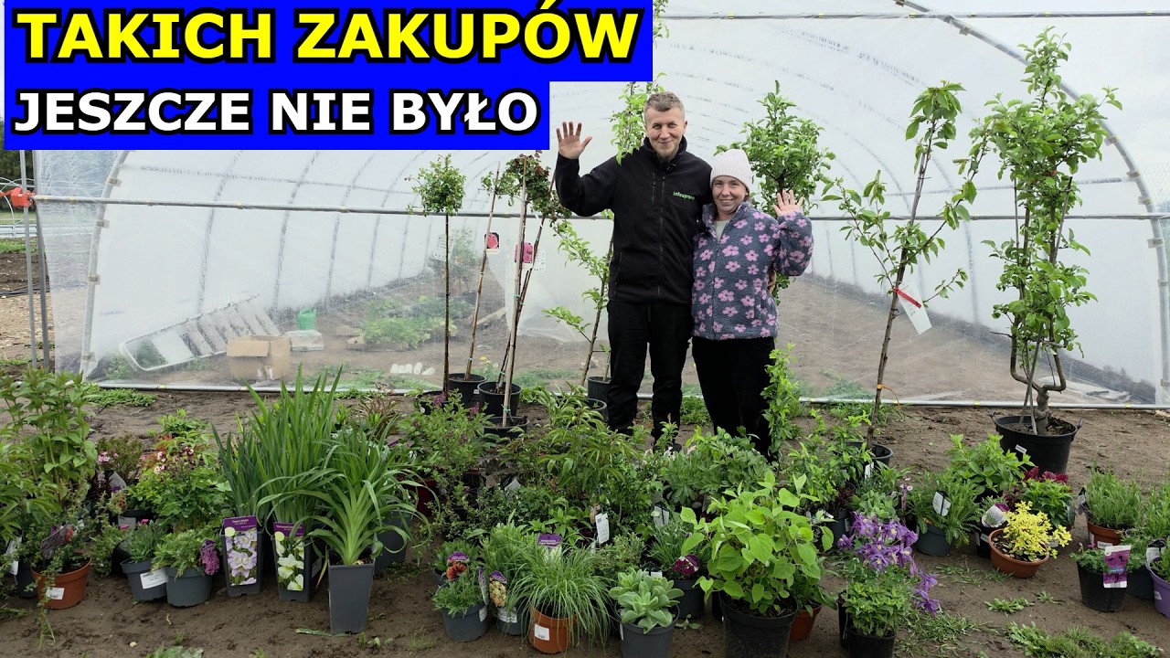 Kupiliśmy Mn&oacute;stwo Kwiat&oacute;w i Owoc&oacute;w. Najlepsze Odmiany Hortensji bukietowej, Lawendy, Byliny i R&oacute;że.