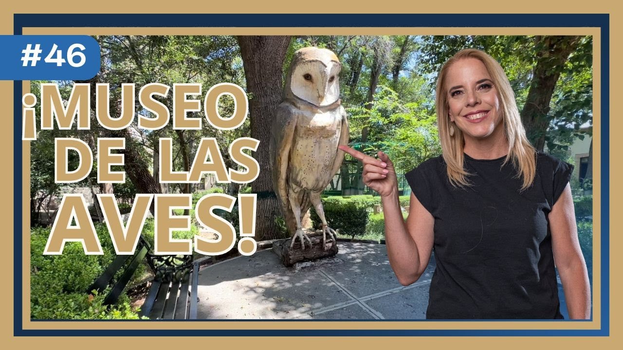 ¡ Impresionante Museo de las Aves en Saltillo Recorrido por el Musave en el Centro de Saltillo !
