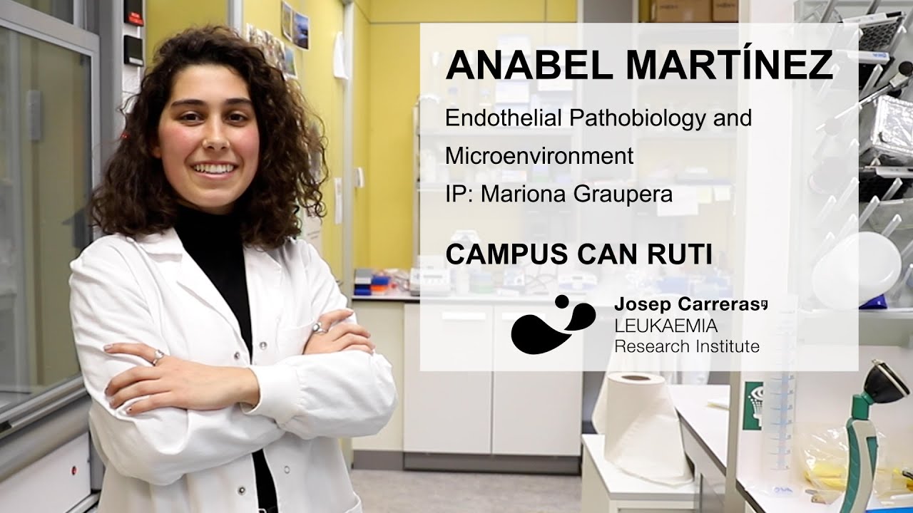 Are pericytes an important player in prostate cancer? by Anabel Mart&iacute;nez