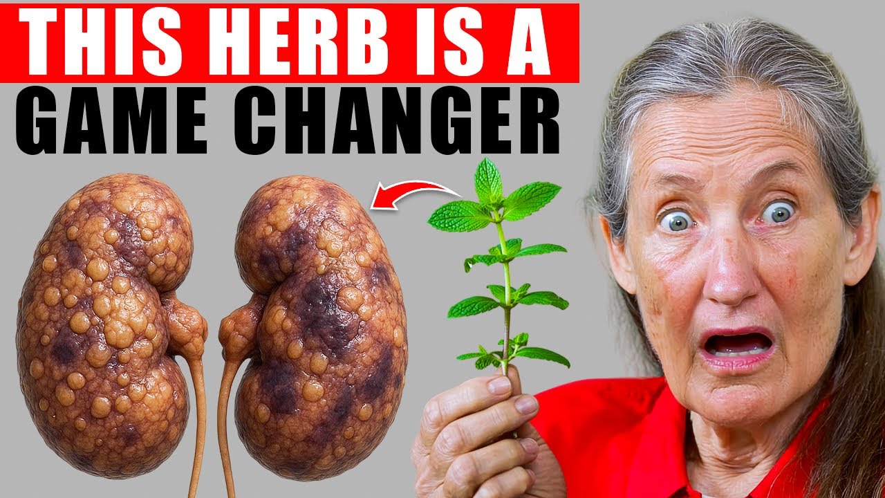This SECRET Ancient Herb DESTROYS Kidney Disease! | Barbara O&rsquo;Neill