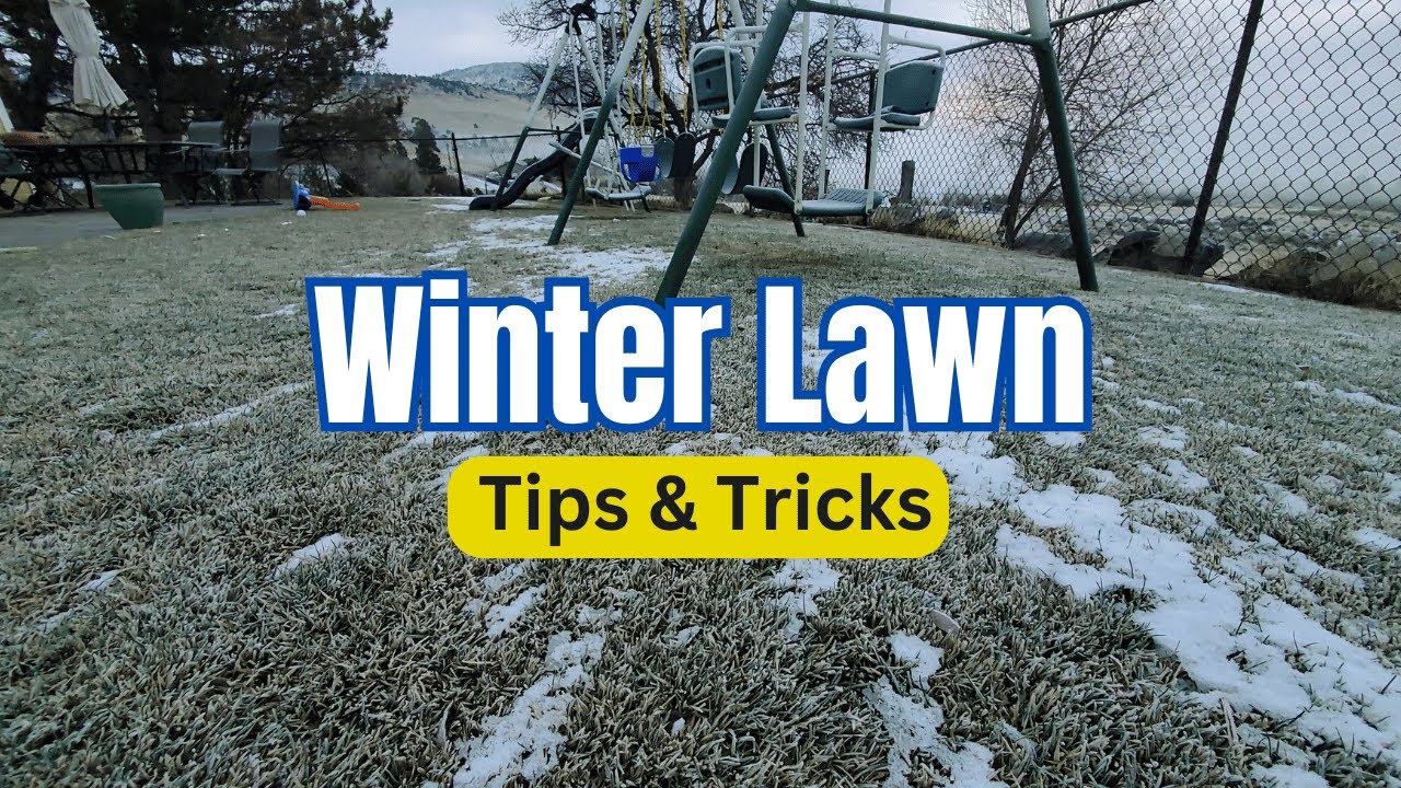 Your COMPLETE Guide To WINTER Lawn Care