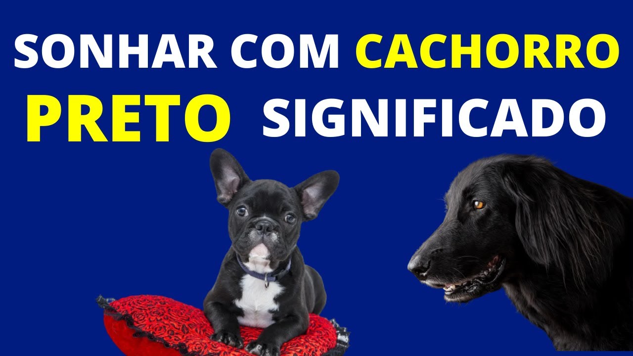 SONHAR COM C&Atilde;O PRETO - Veja o significado de sonhar com cachorro preto