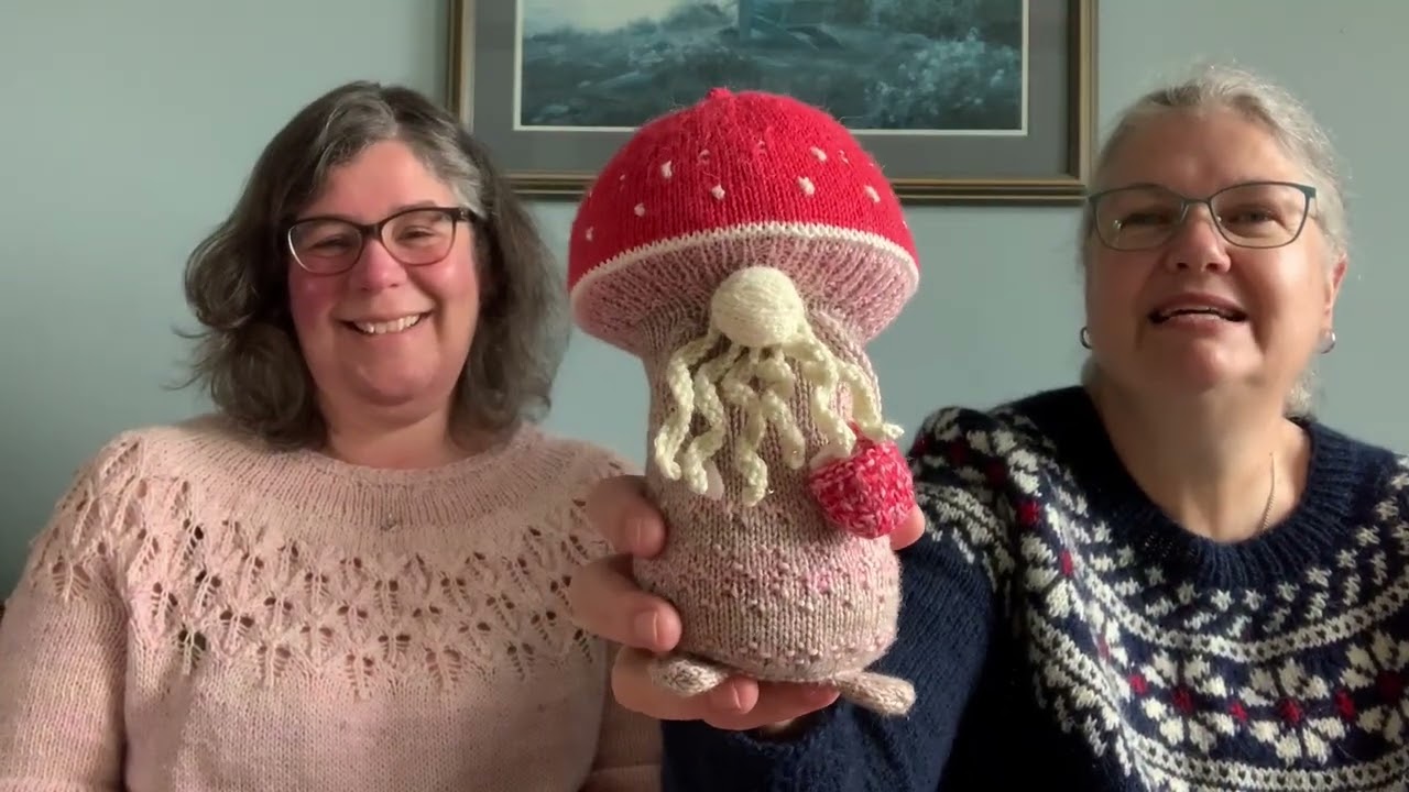 Professor Fungi, Nether Garments and a Besties Hoodie KAL #knitting #spinningyarn #crossstitching