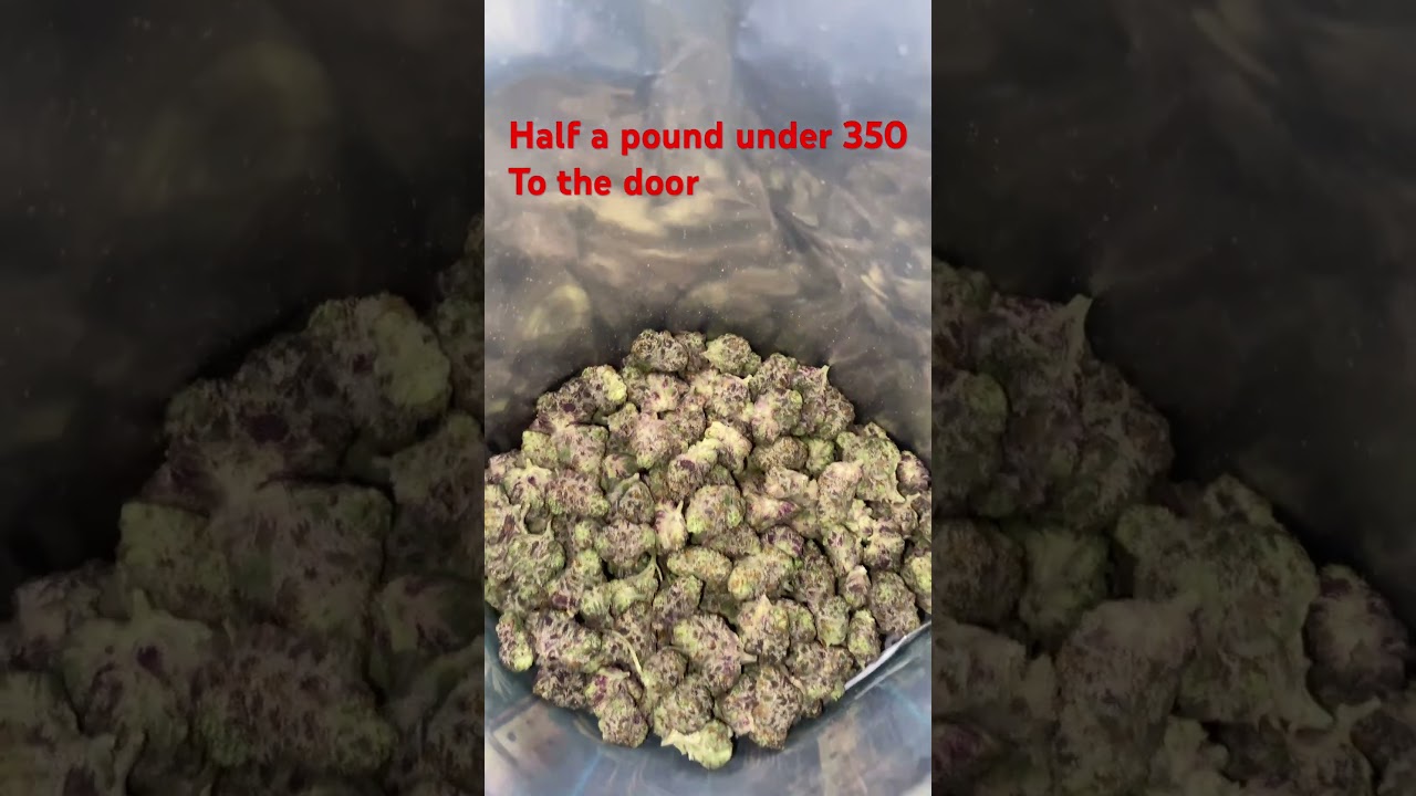 Half a pound to the door tap in #youtube #subscribe #respect #thcaking