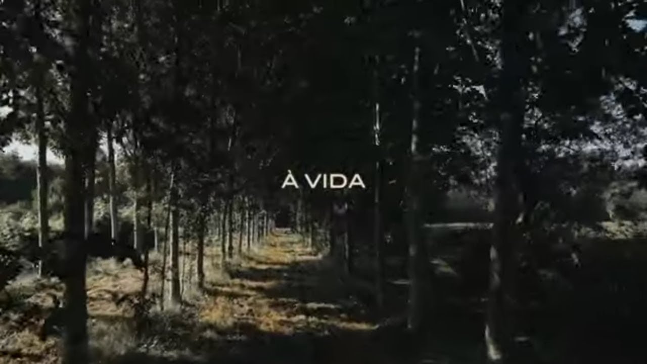 Michel Ribeiro - &Agrave; Vida (Official video)
