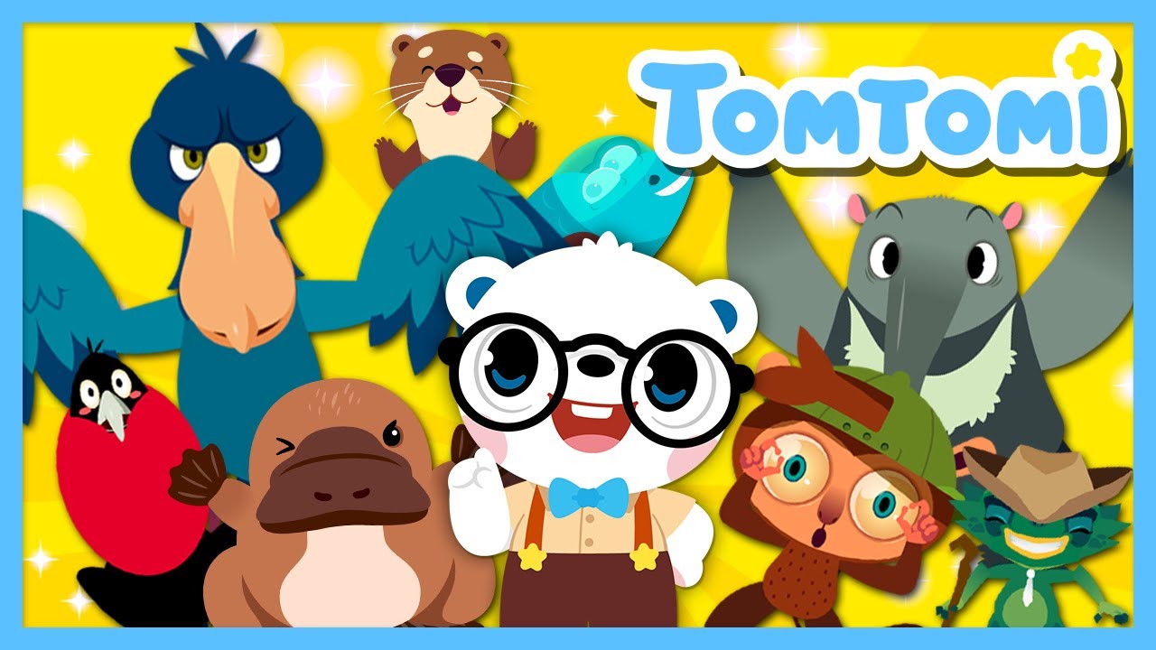 Unusual Animal Names Song Compilation🤓🎵 | Who wants to be an animal expert? | Animal Songs | TOMTOMI