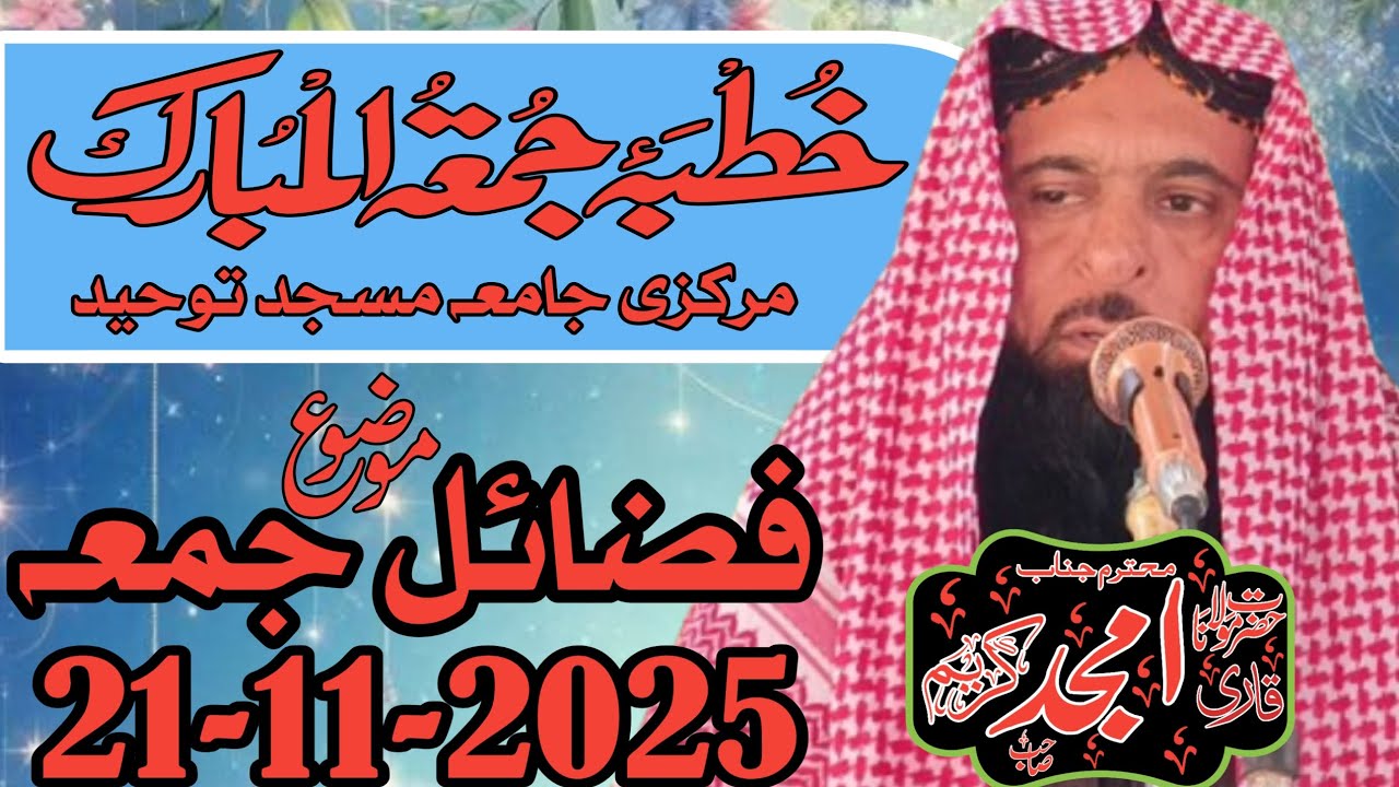 November 22, 2025