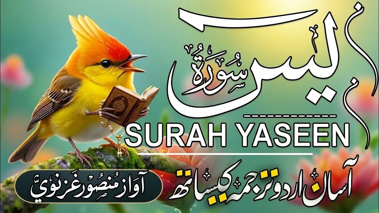 Surah Yasin ( yaseen ) With Urdu Translation |(سورة يس )🌿 Quran with Urdu and Hindi Tarjuma |Epi 326