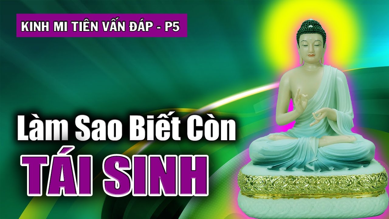 Phật ở đâu? và Làm Sao Biết Còn Tái Sinh? | Kinh Mi Tiên Vấn Đáp – phần 5