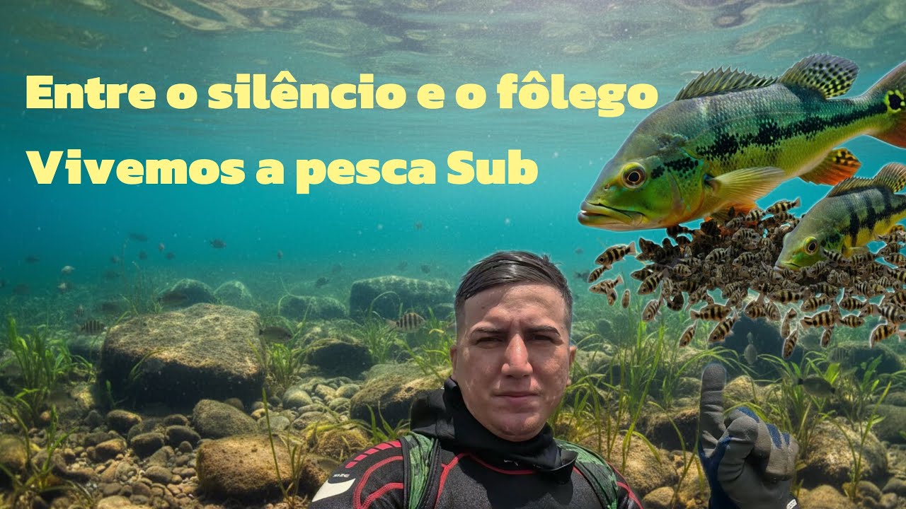 Aventuras na Pesca Sub: entre o silêncio e o fôlego vivemos a pesca sub 