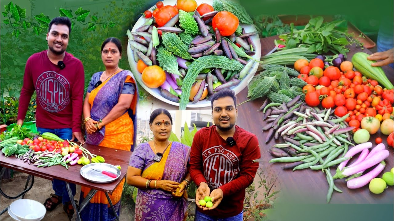 మమ్మీ చేసిన మస్త్ హార్వెస్ట్ Uncontrollable excitement #organic #harvest