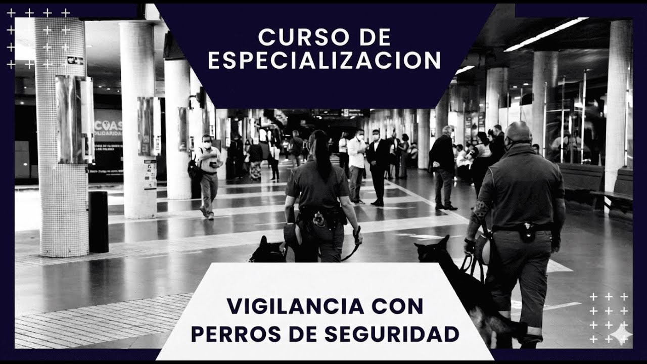 CURSO DE ESPECIALIZACIÓN EN VIGILANCIA DE SEGURIDAD CON PERROS