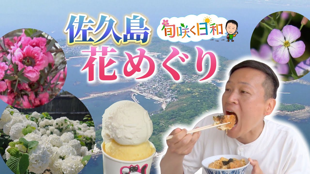 【旬咲く日和】春の佐久島でチャリンコ旅！旬のプリプリ丼に感動！