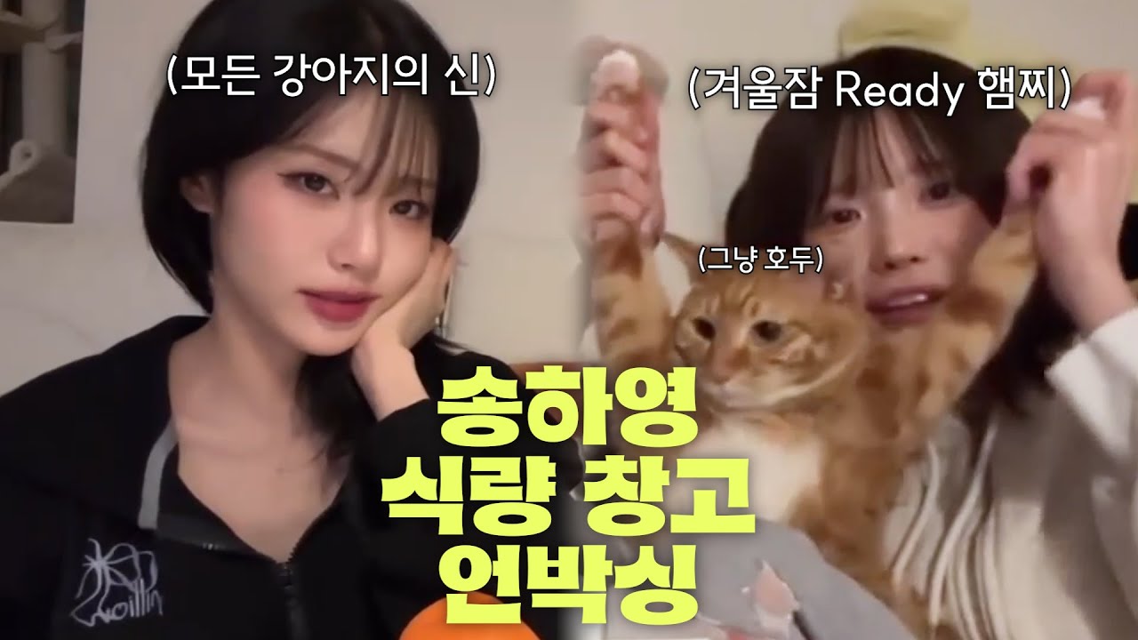 겨울잠 준비하는 햄찌와 그녀의 식량 창고를 털러 온 모든 강아지의 신