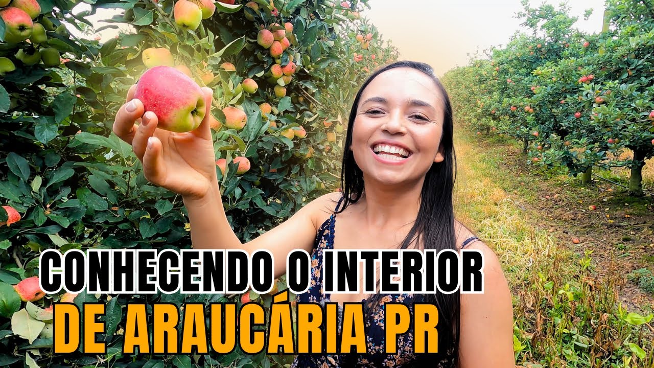CAMINHOS DE GUAJUVIRA EM ARAUCÁRIA PR