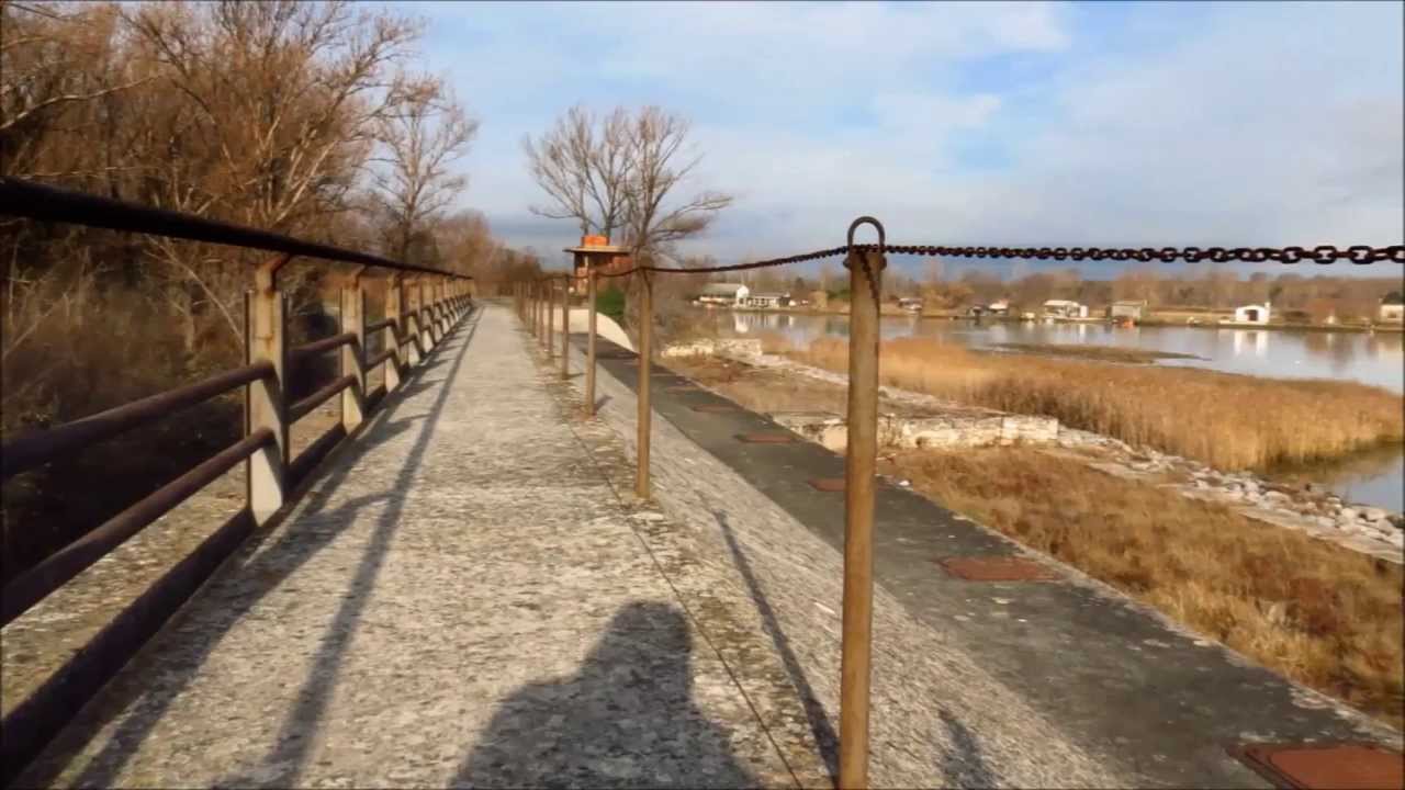 RISERVA NATURALE FOCE DELL' ISONZO ISOLA DELLA CONA (CANALE QUARANTINA)