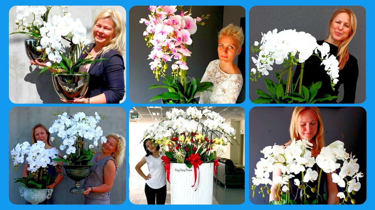 80+ delicate white orchid flower pot planters ideas #decorlife #pot #orchidflowerarrangement