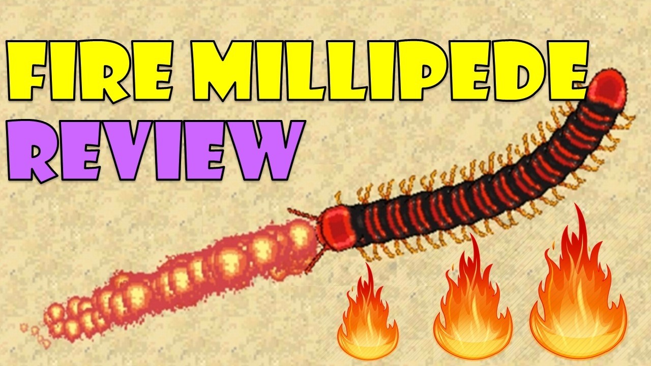 Fire Millipede Review - Pocket Ants - Smart Daddy