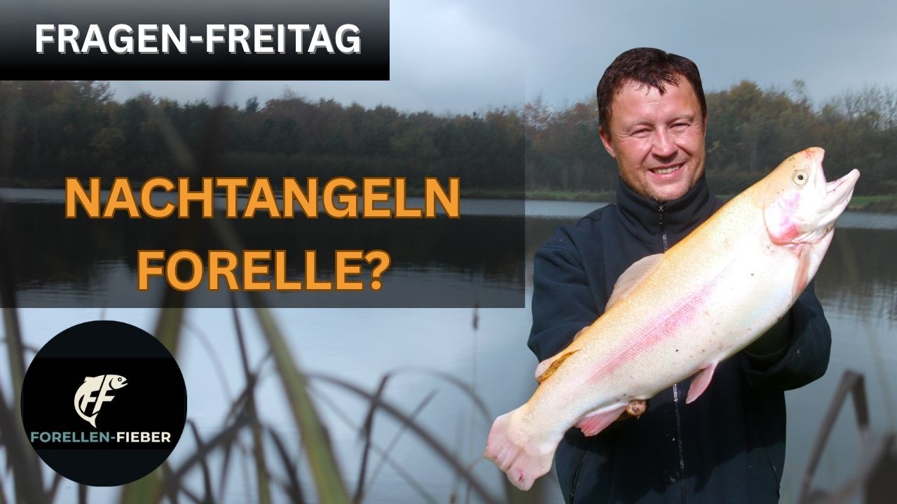Nachtangeln auf Forellen – Warum Forellen nachts plötzlich besser beißen
