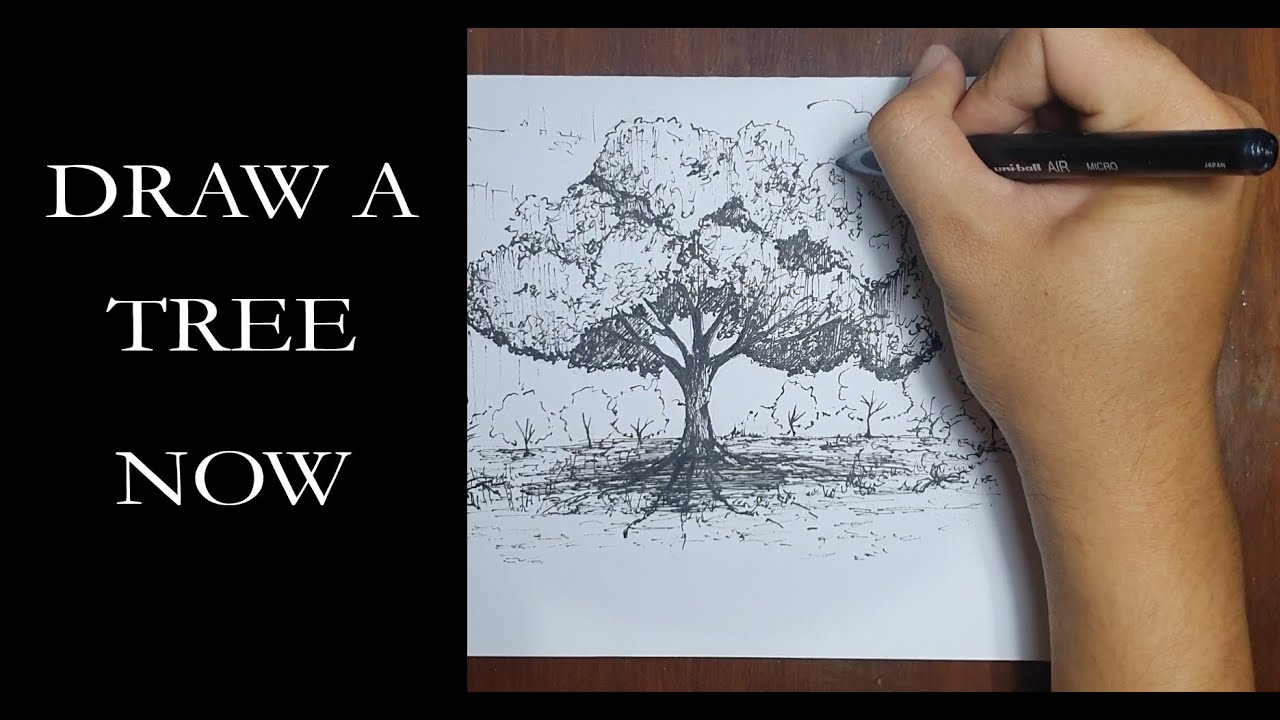 Learn How to Simply Draw a Tree | Pen and Ink Technique | Uni-ball Air Micro